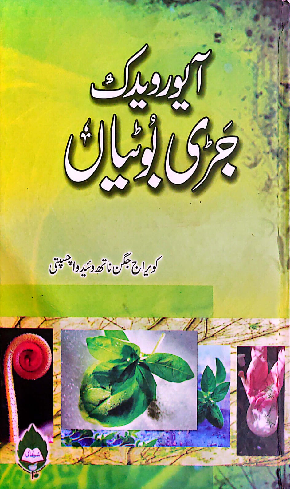 آیورویدک جڑی بوٹیاں